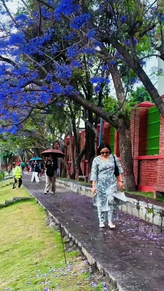 @saisa_bhandari95