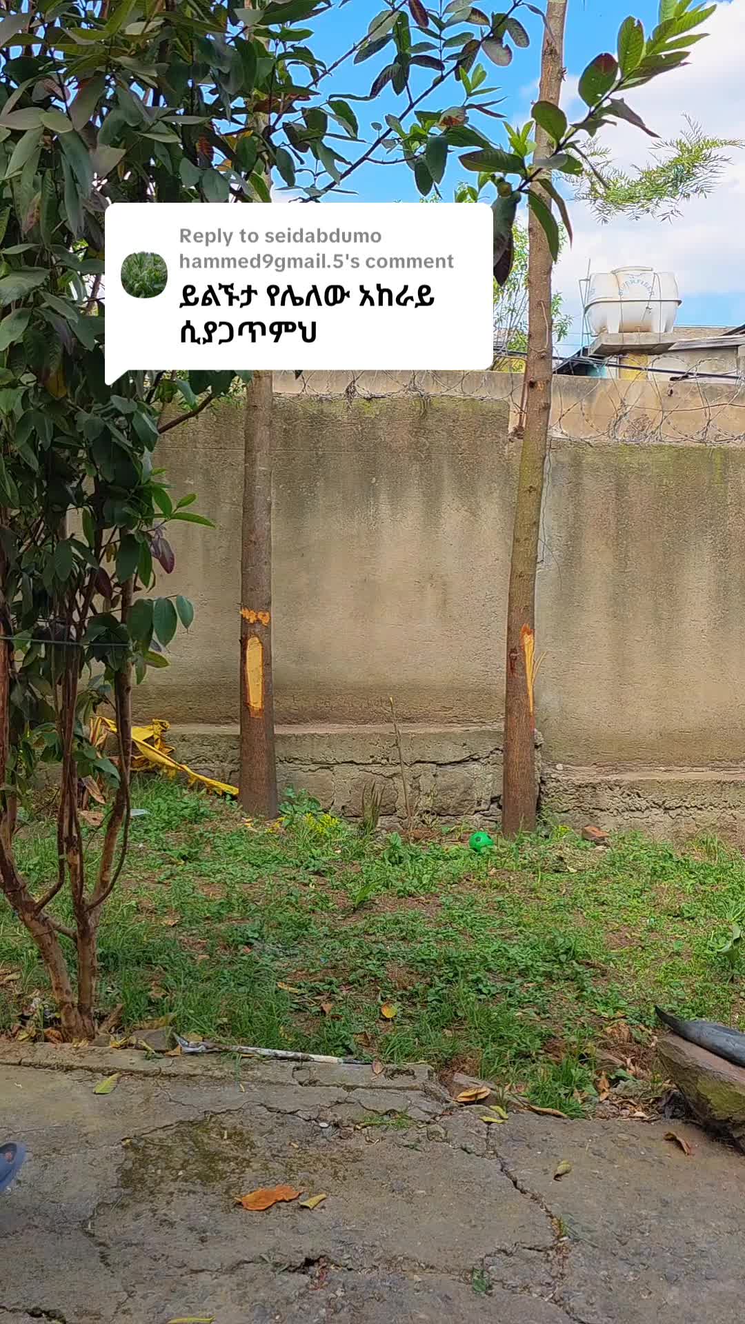 @Tonkosu/ቶንኮሱ