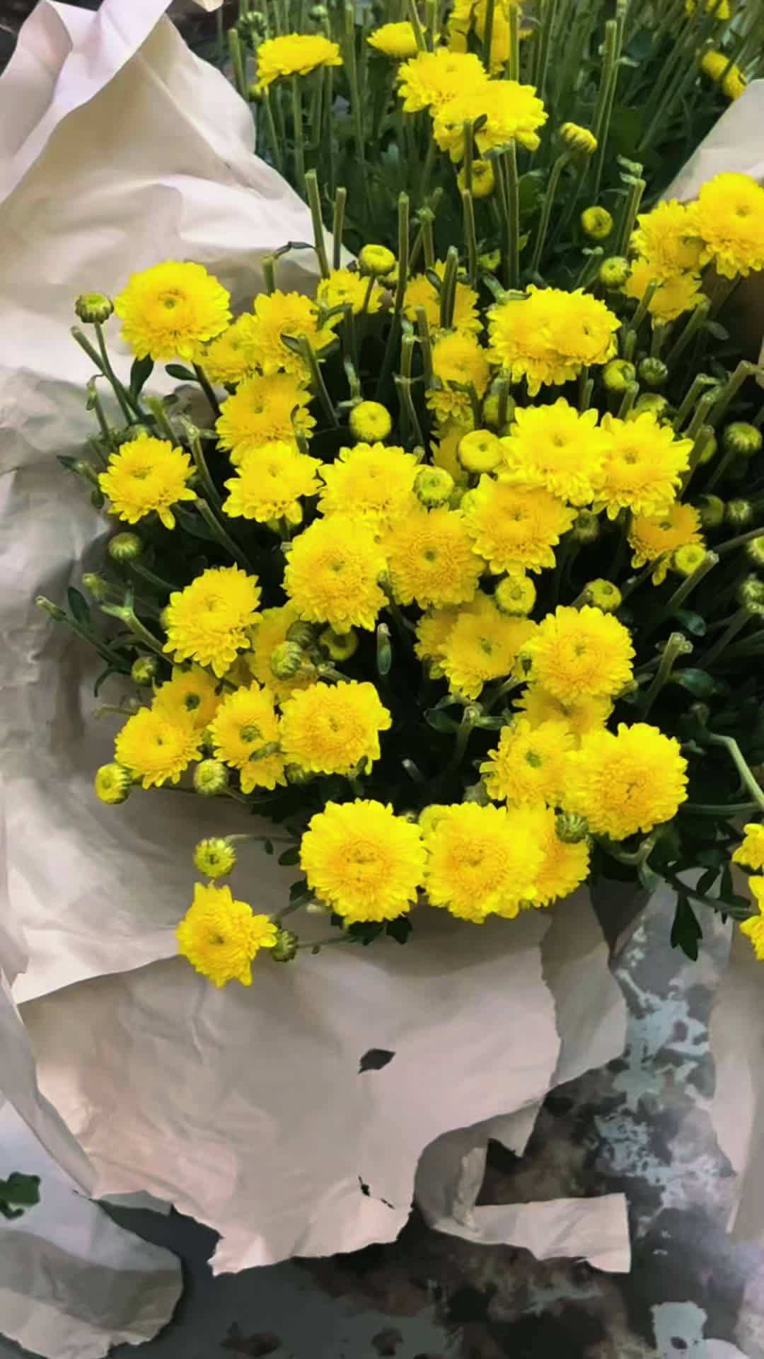 @17♥️02🪽
