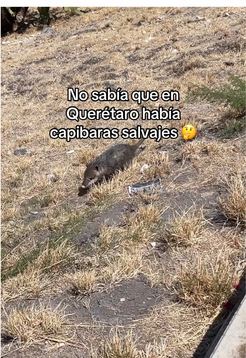 @Alan Vázquez