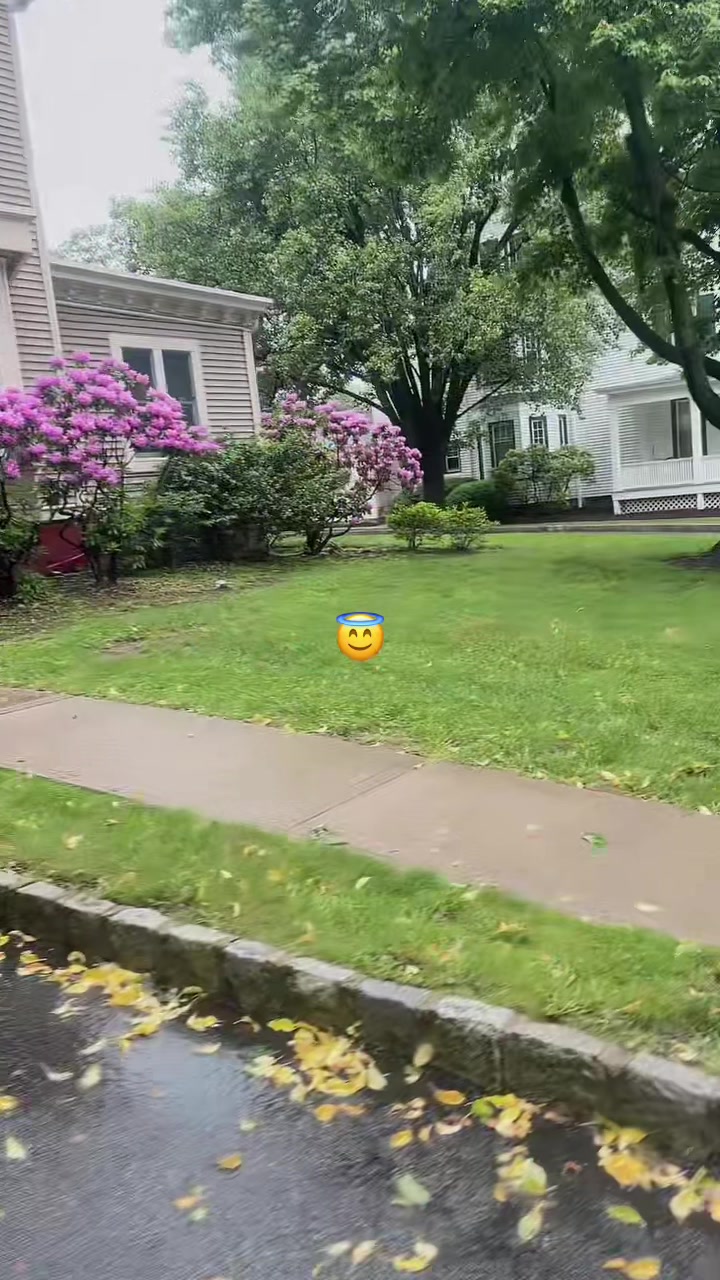 @7️⃣✝️🔥🕊️🧿🪬