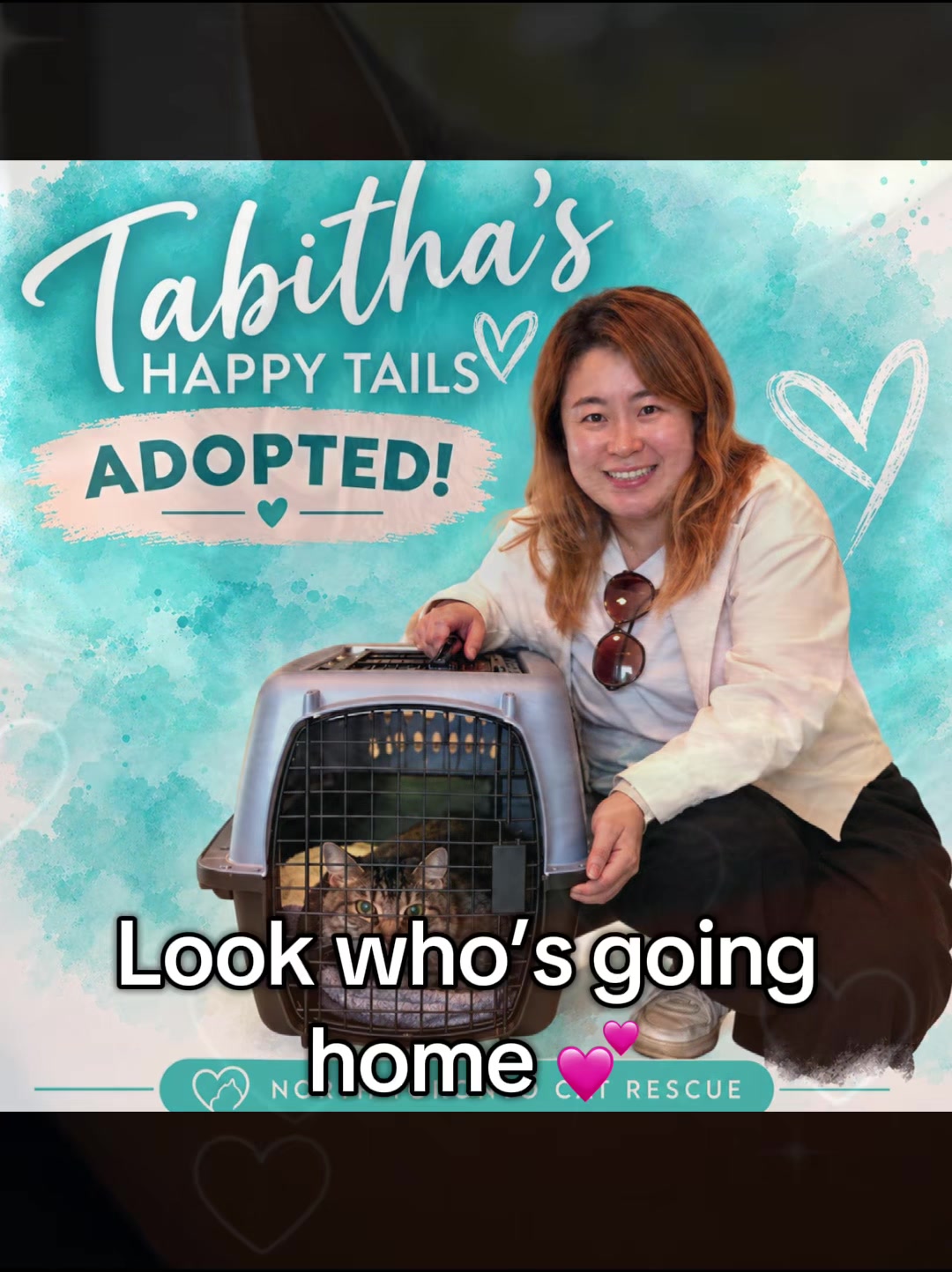 @North Toronto Cat Rescue