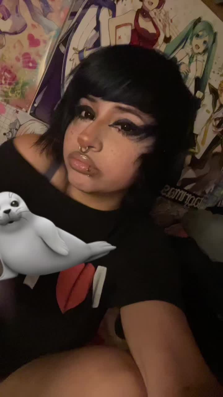 @corgi_bunss