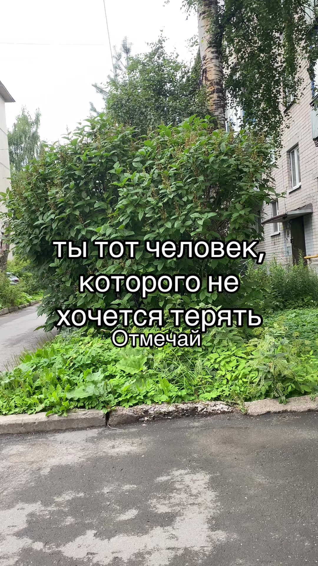 @Данил