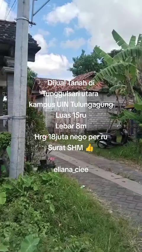 @eliana