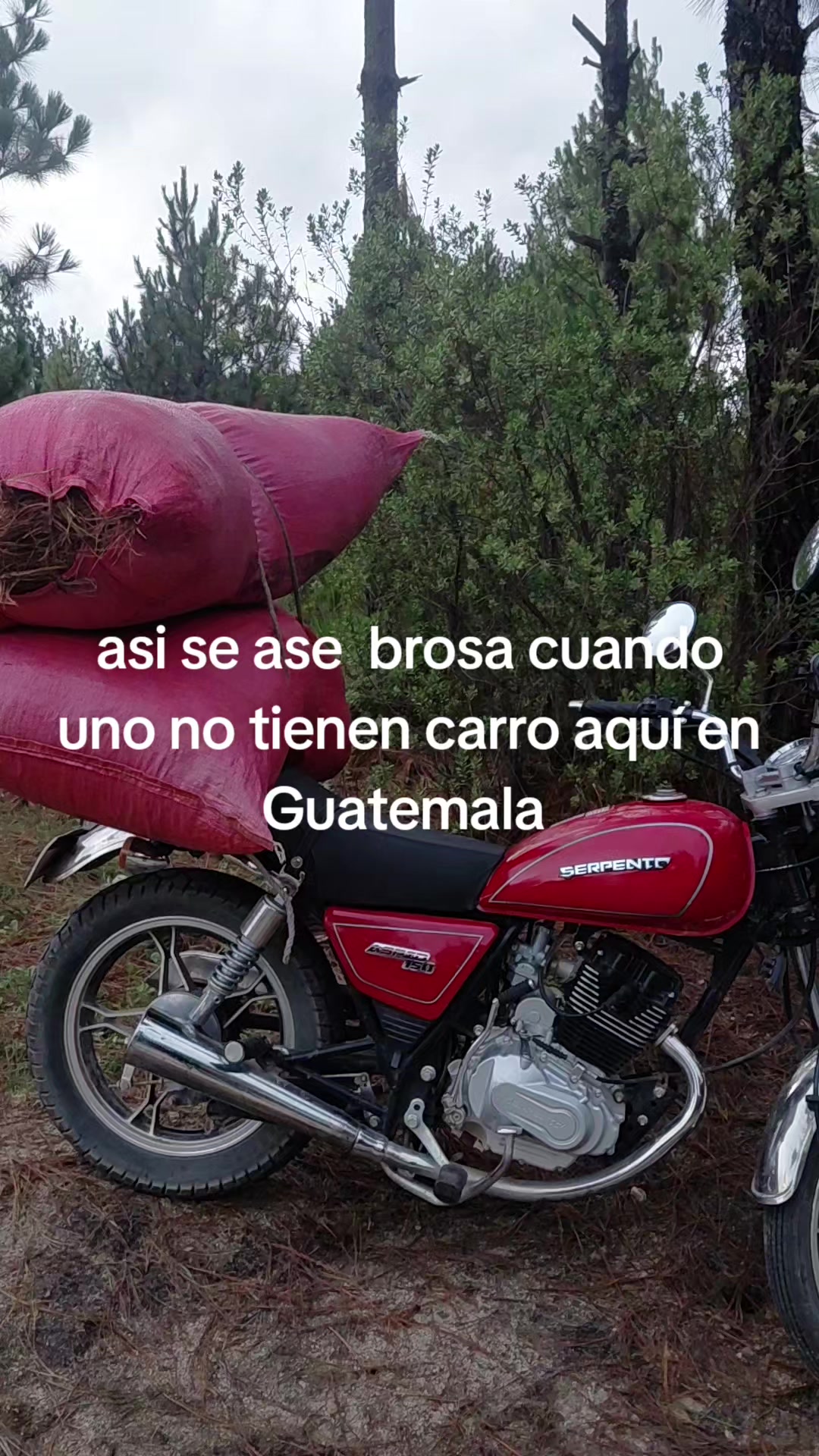 @Cristian pelico