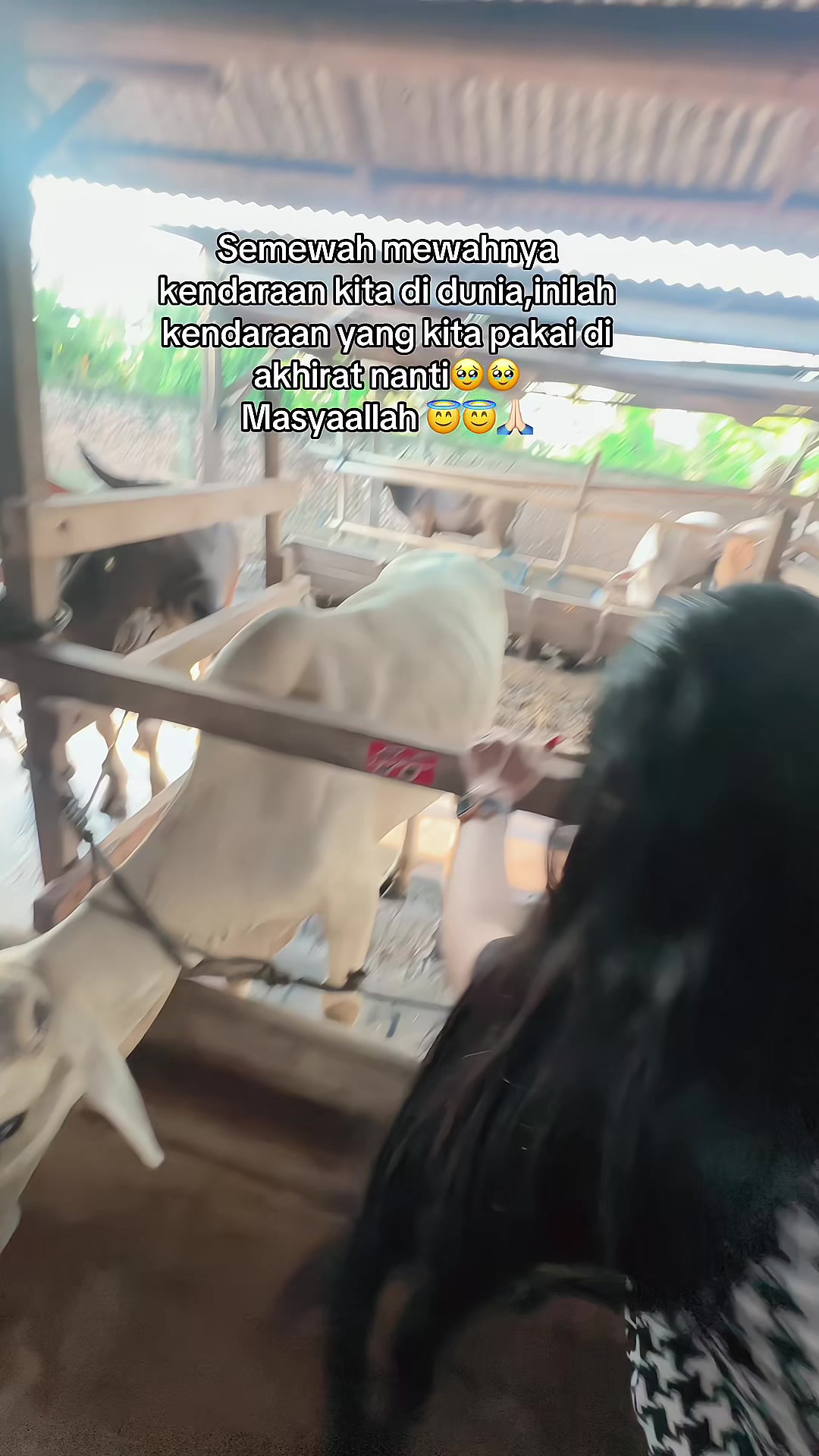 @Gusnah_ar🙆🏻♀️🤍🦋
