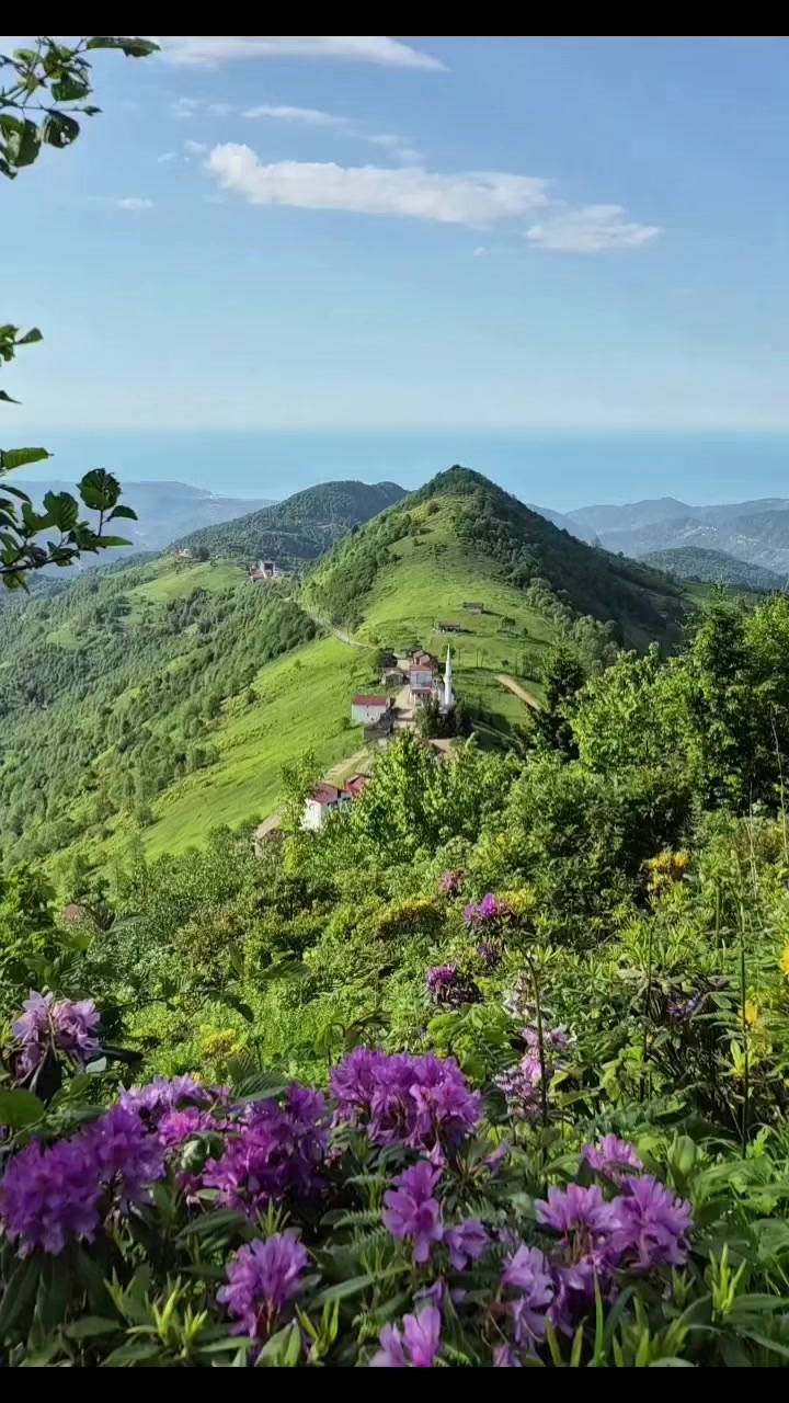 @_Hafizali61