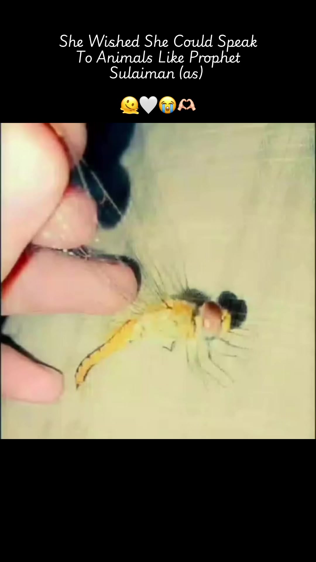 @KARDEŞ 🕷️