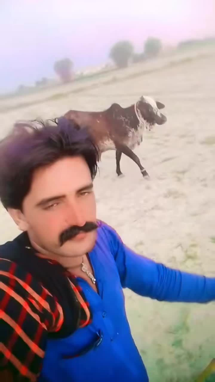 @Ahmad Raza,joyia