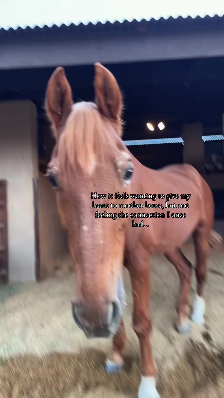 @Jayne B