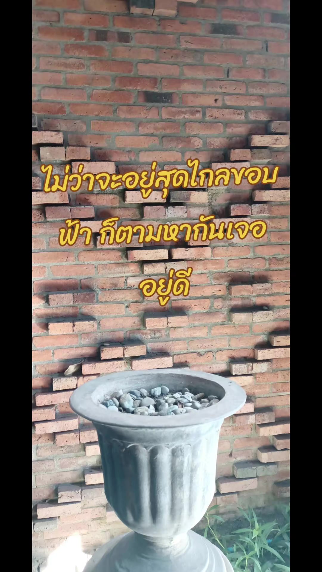 @บ้านกลางสวนลำใย(เชียงใหม่)
