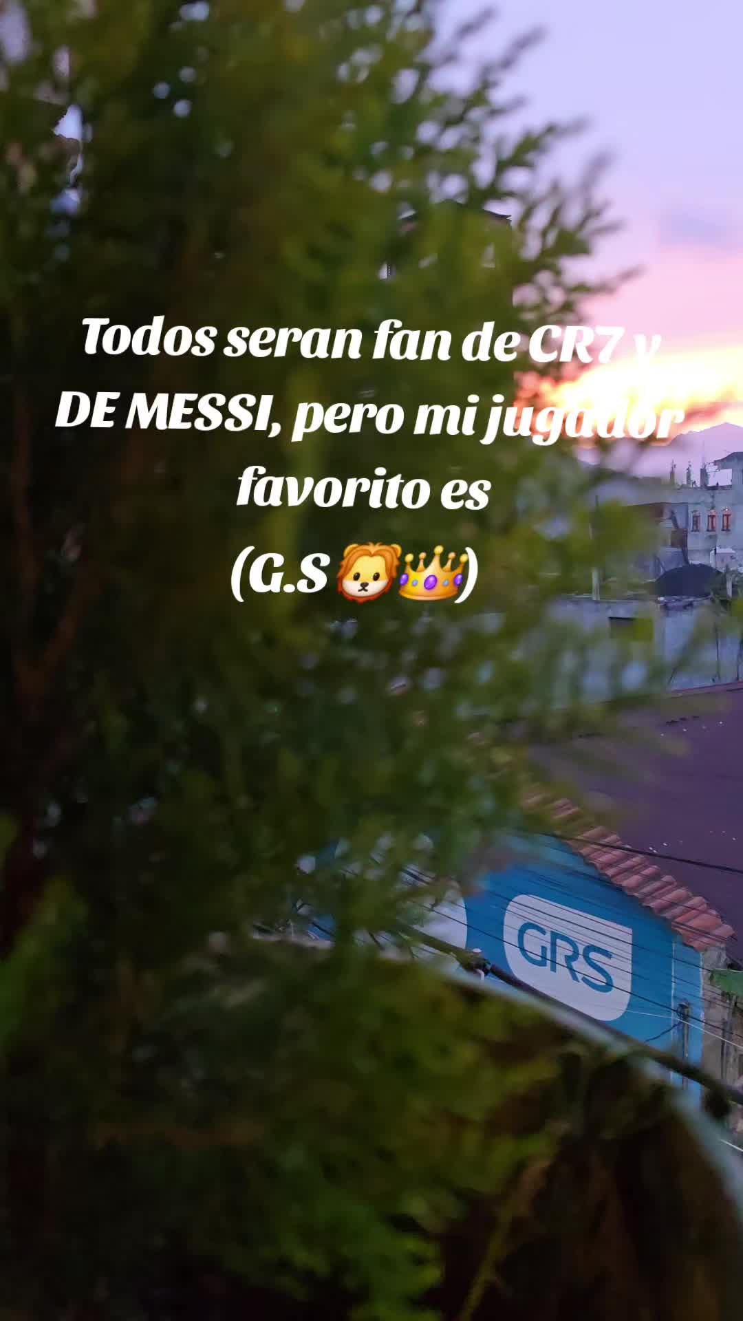 @salvador  sapalu