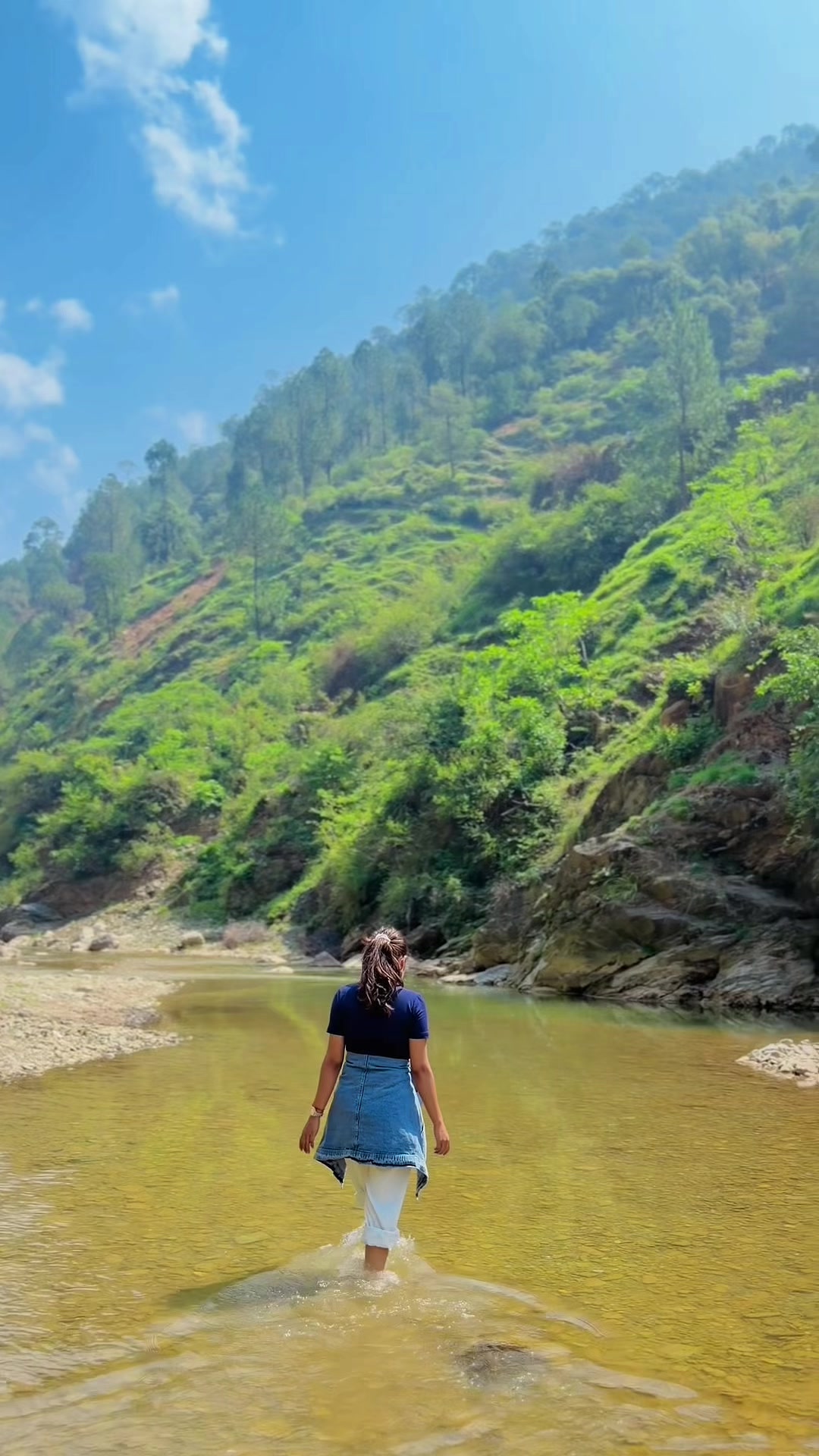 @सरिना भट्ट