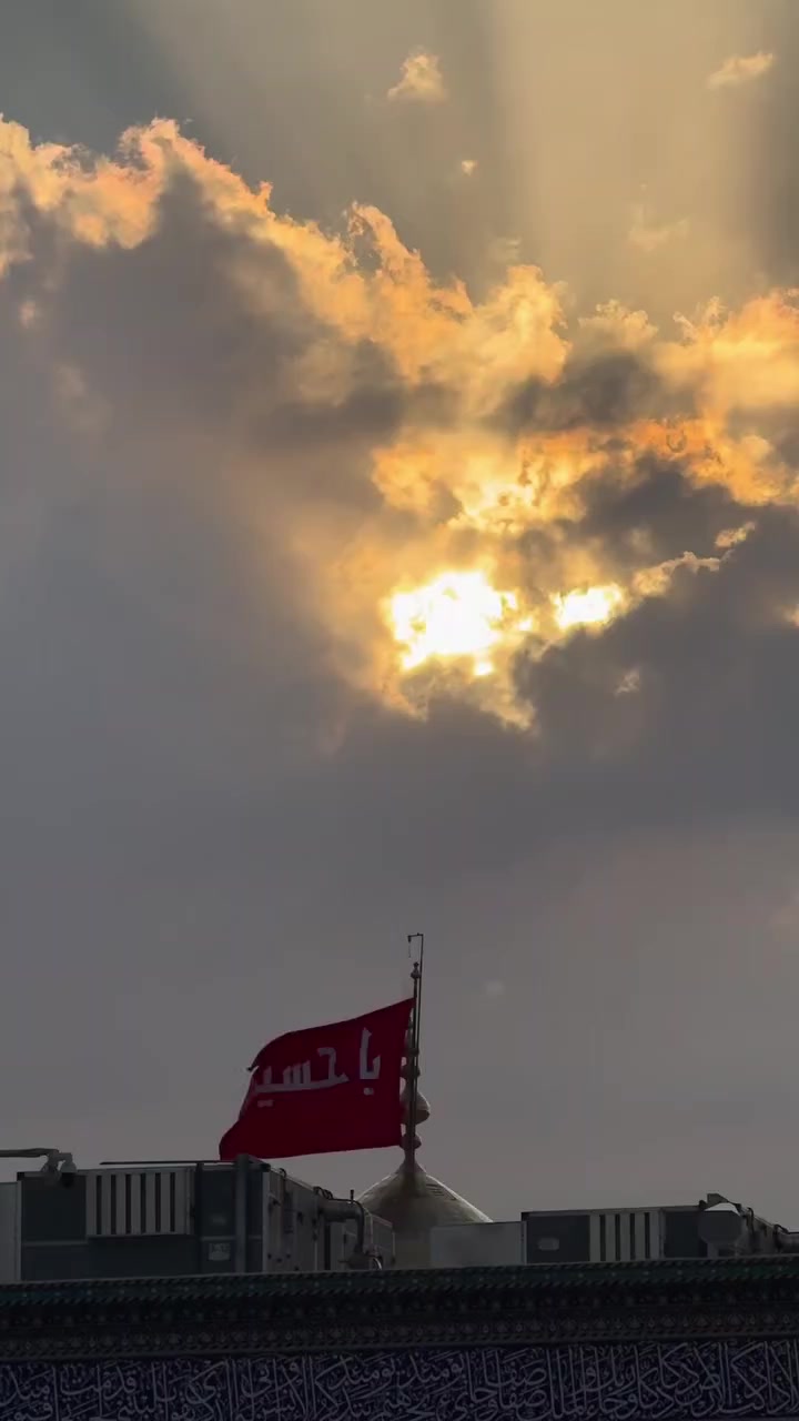 @💠گـل همیشه بـهار💠