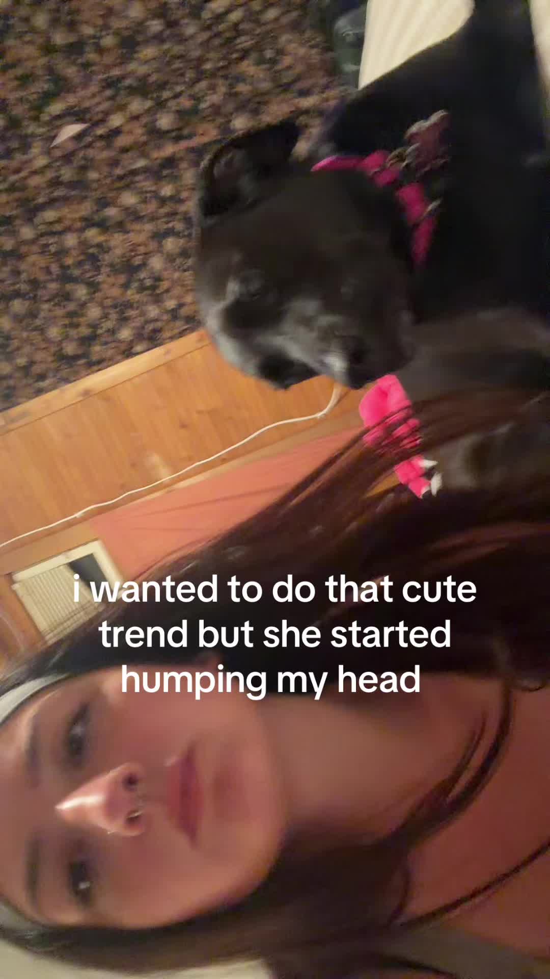 @Taylorrose