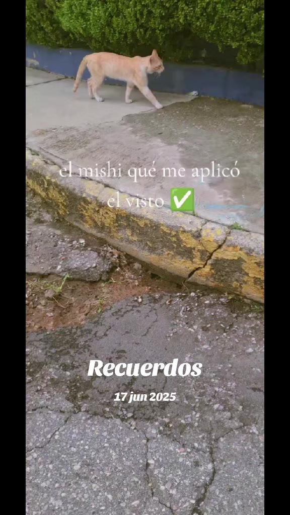 @Alejandra M