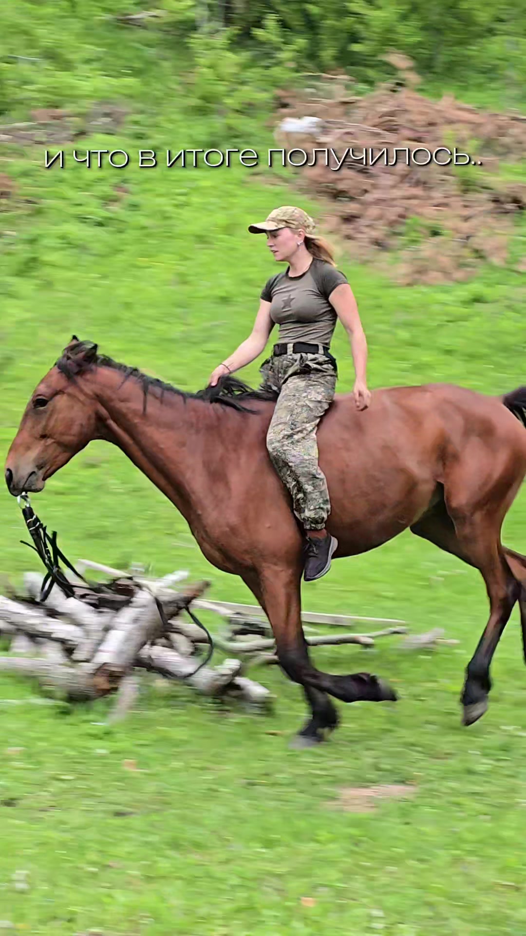 @tg: altaihorses