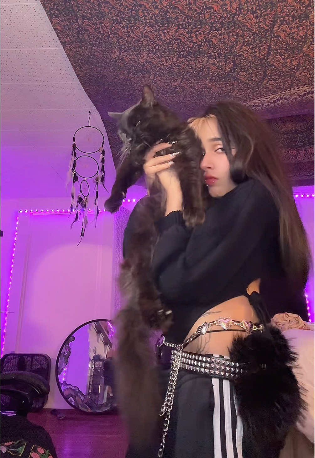 @⋆˙⟡✮ 𝑻𝒊𝒈𝒆𝒓 ✮⟡˙⋆