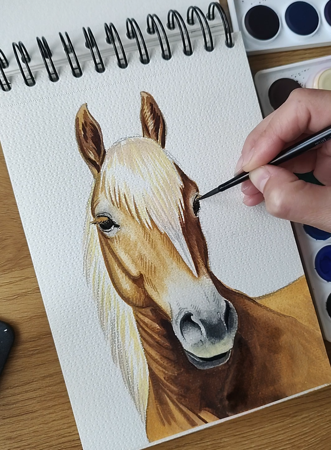 @🎨Kate Holloman Art🎨
