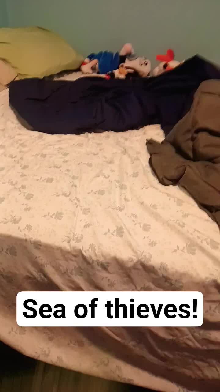 @VOMMESP official TikTok