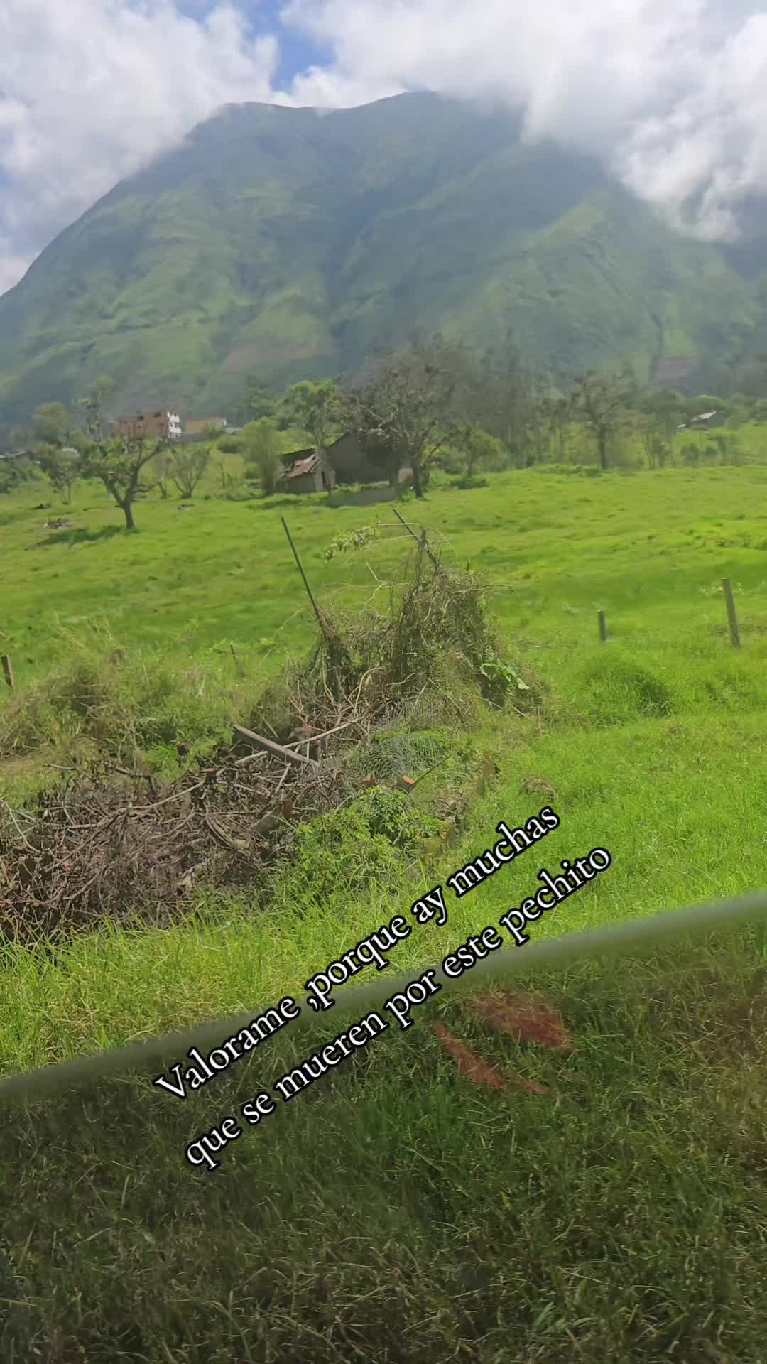 @🐓TU GALLO FINO 🐓