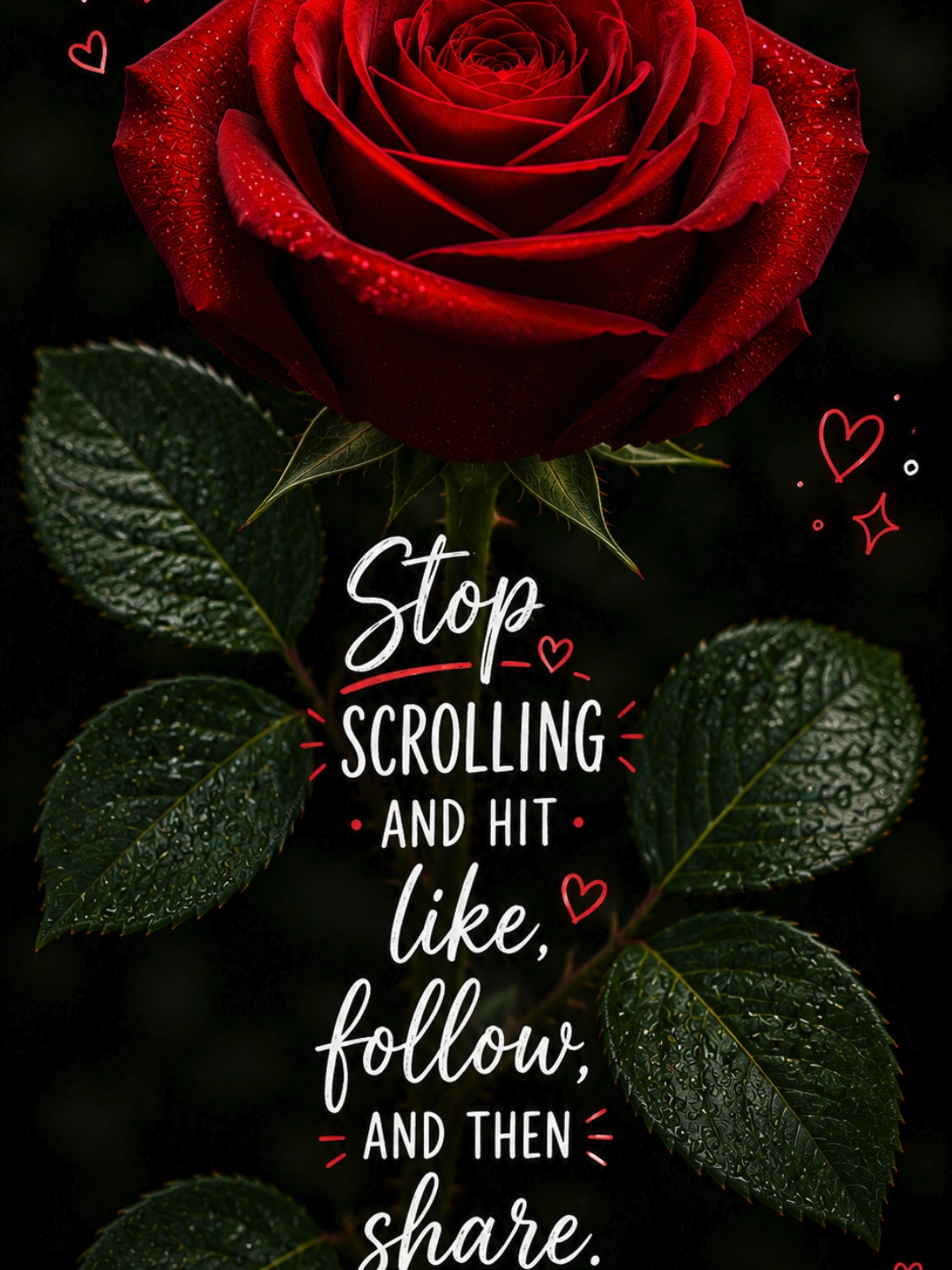 @optimistic.chic.334