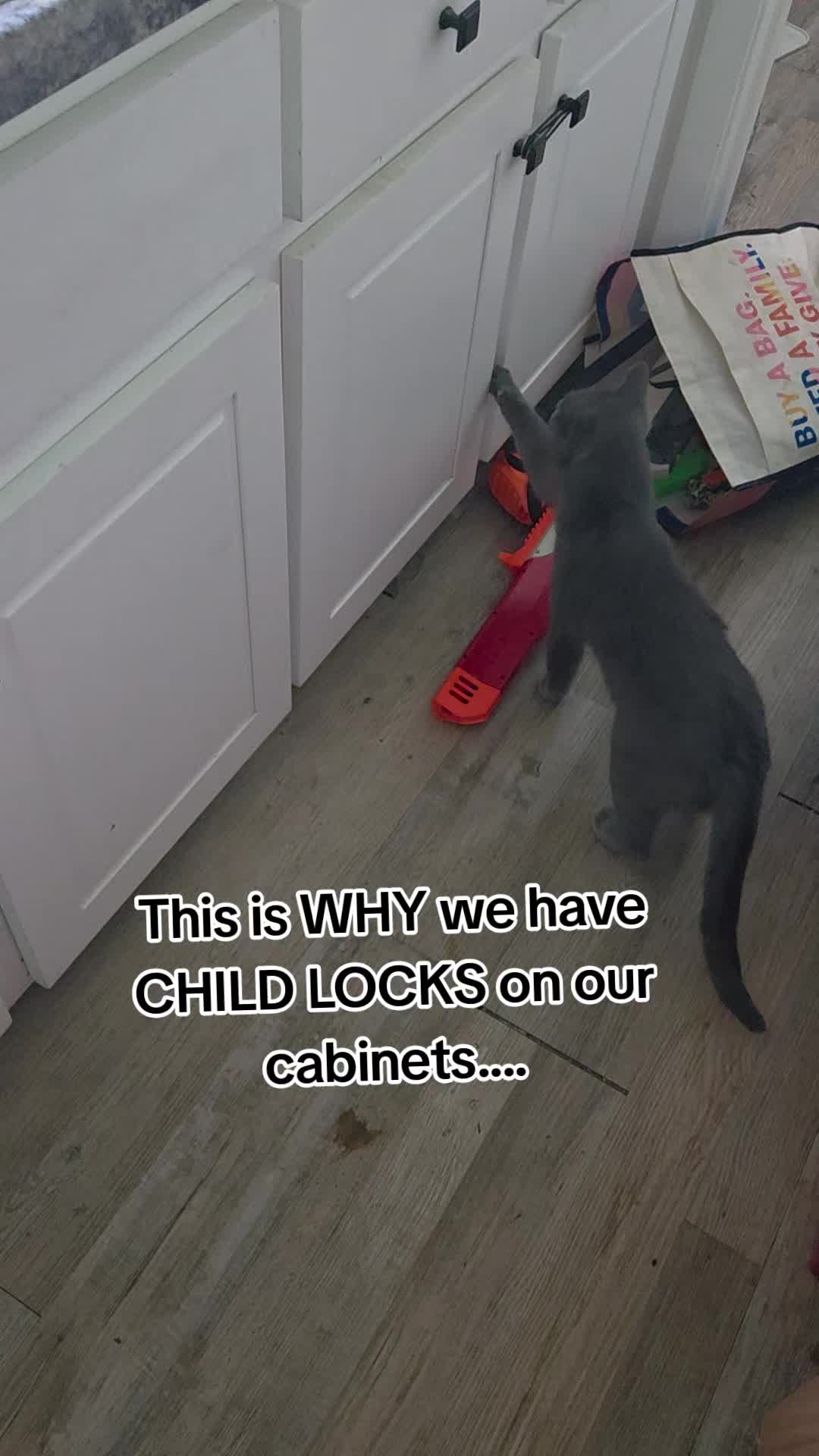 @Cindy🐈
