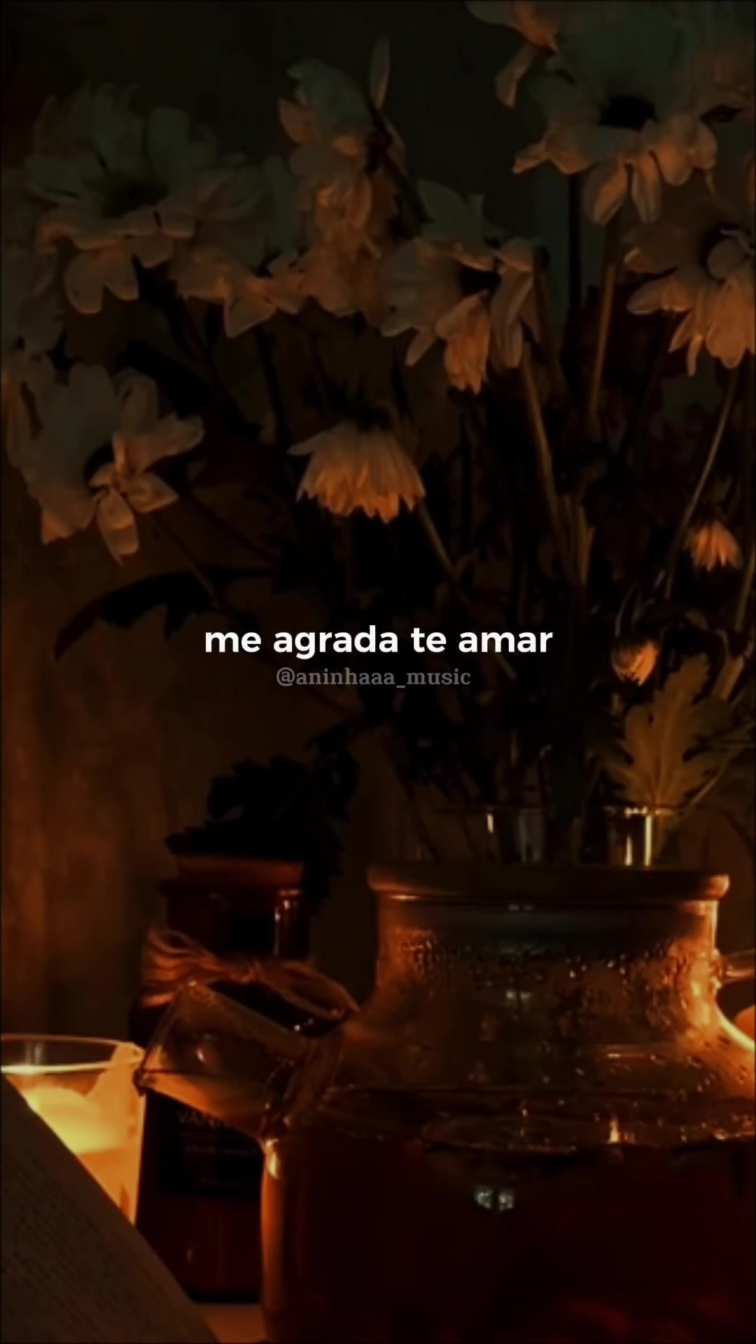 @Aninhaaa_Music💫🎶