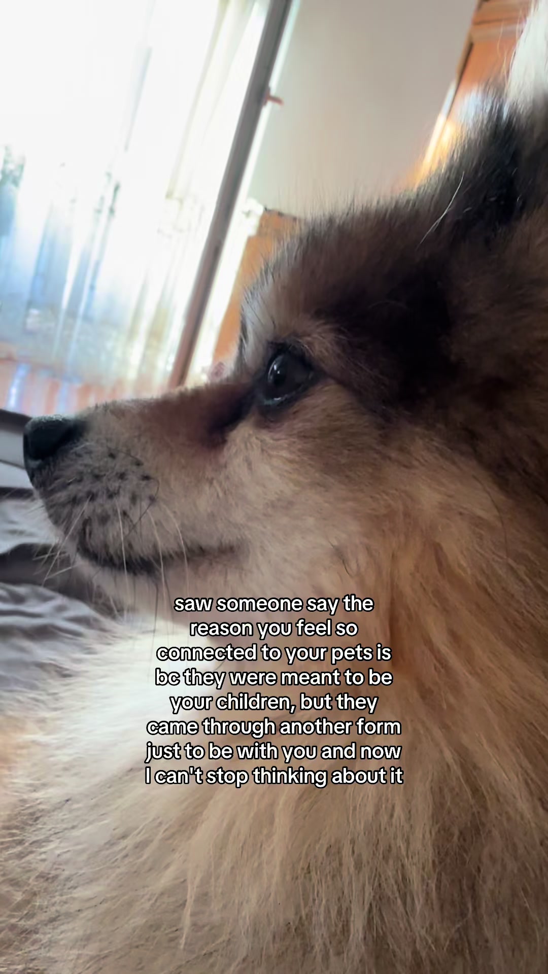 @Nina