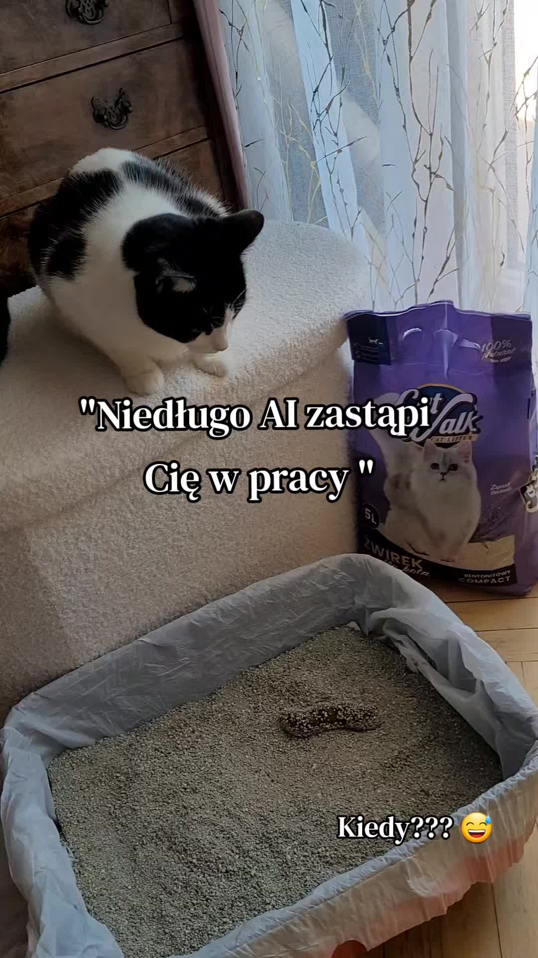 @😻Ekipa Świrka 😻