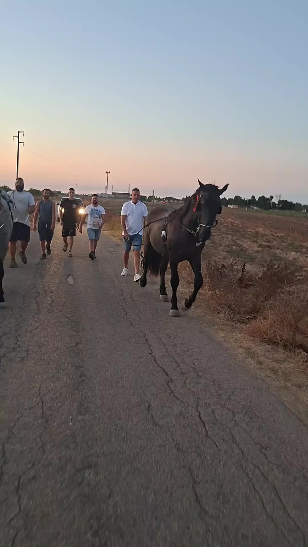 @Danilo Andrisano