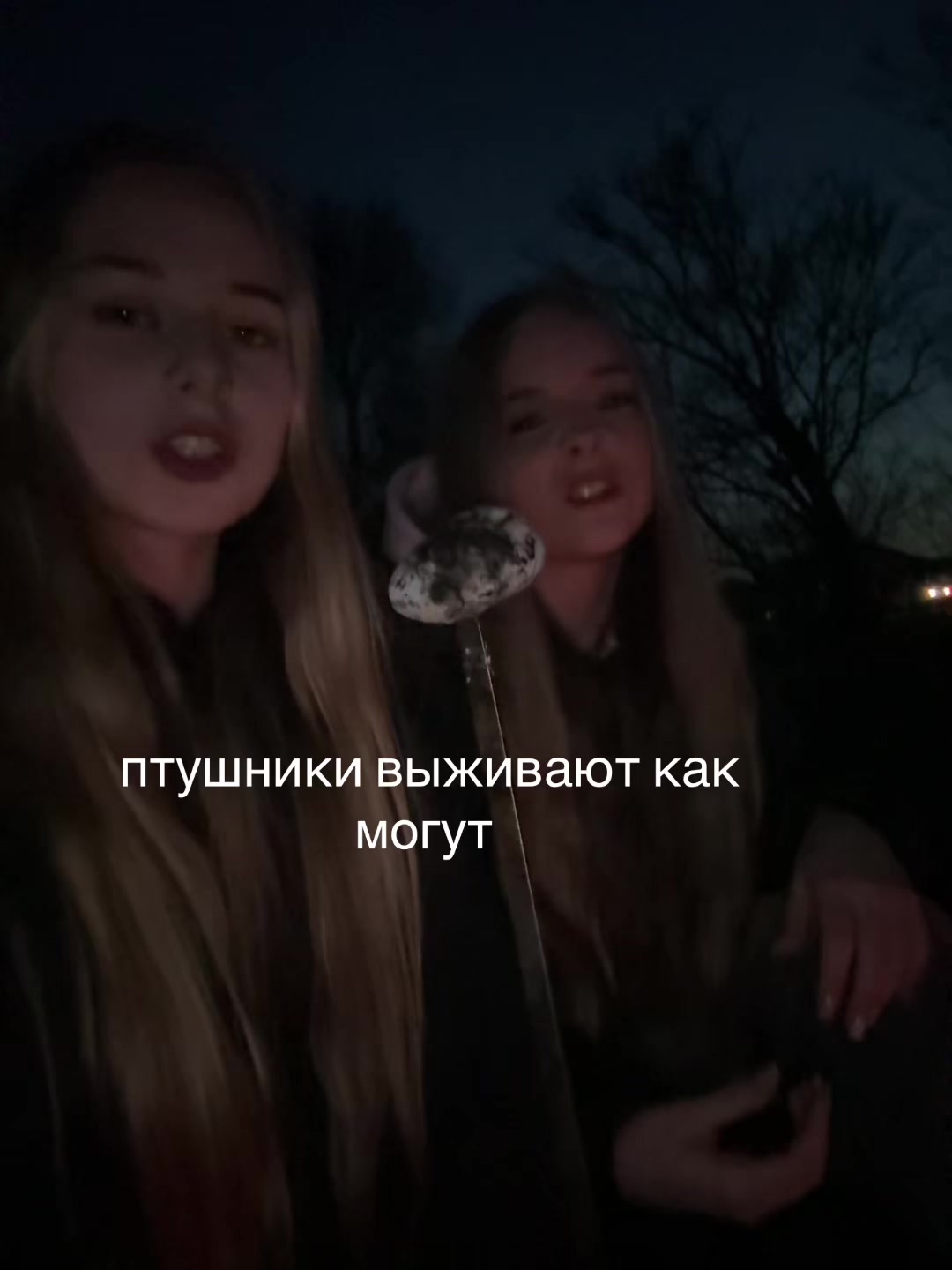 @mld.evel🦅@