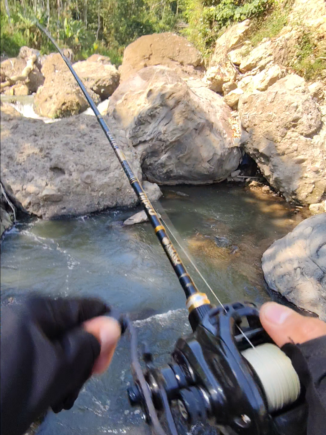 @gustavxfishing