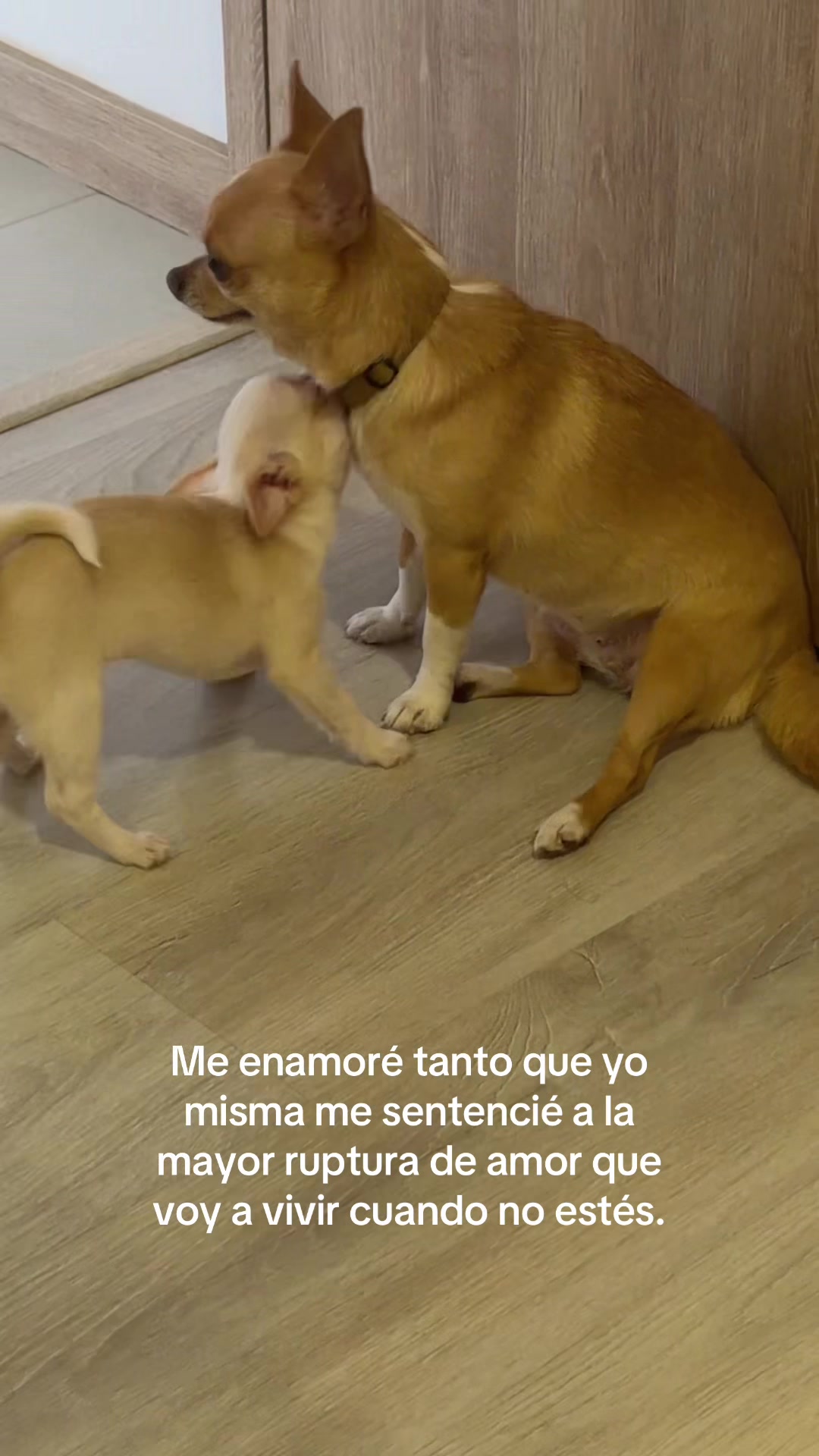 @Nicole Hurtado
