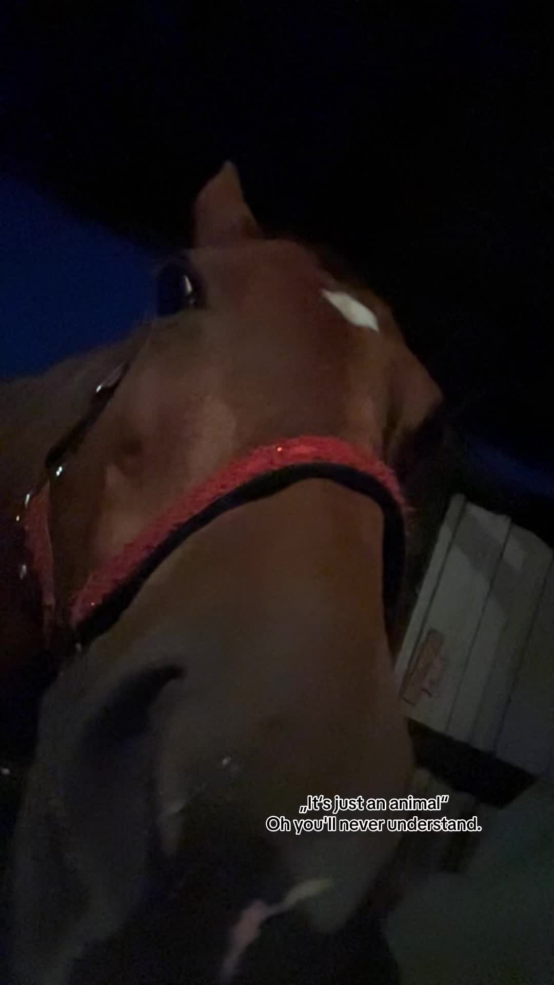 @alisaa_moto