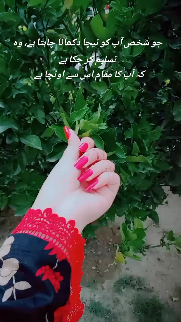 @ღℋ𝑜𝓃𝑒𝓎ツ