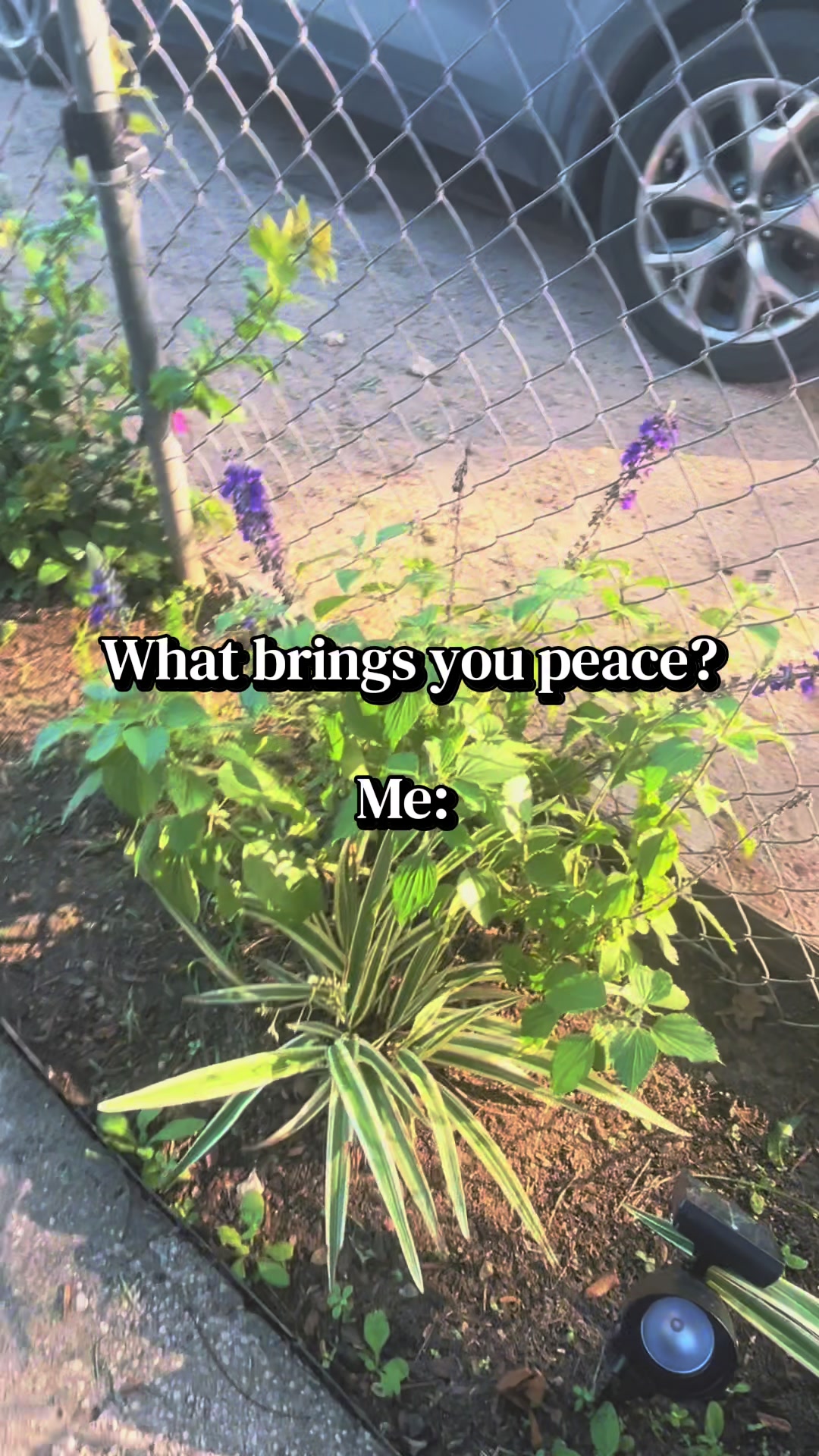 @💜𝓛𝓾𝓹𝓲𝓽𝓪'𝓼 𝓵𝓲𝓯𝓮
