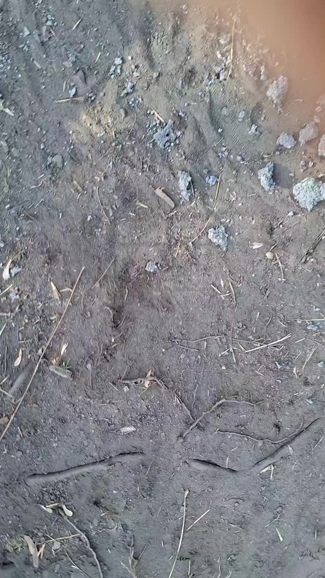 @mlody górnik223