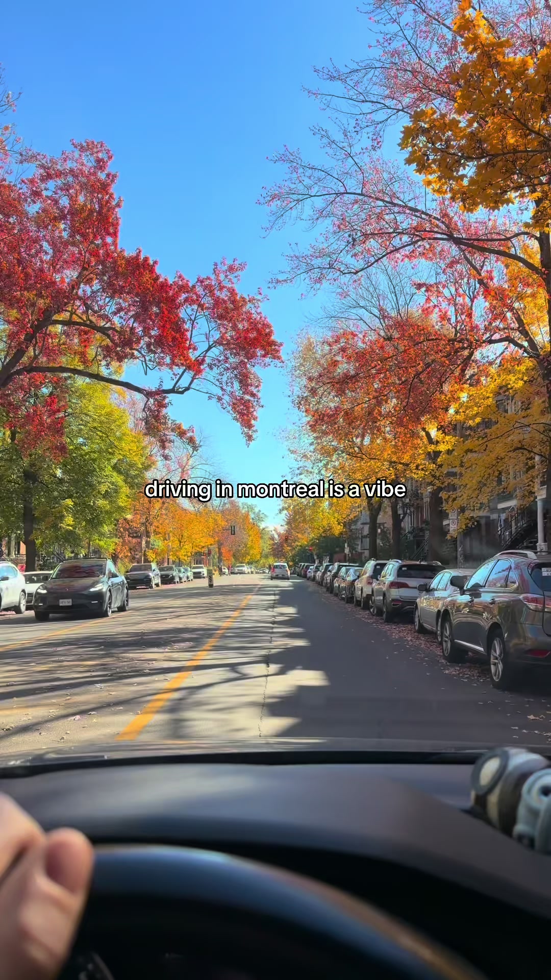 @Clément 🇨🇦 Montréal 🍁
