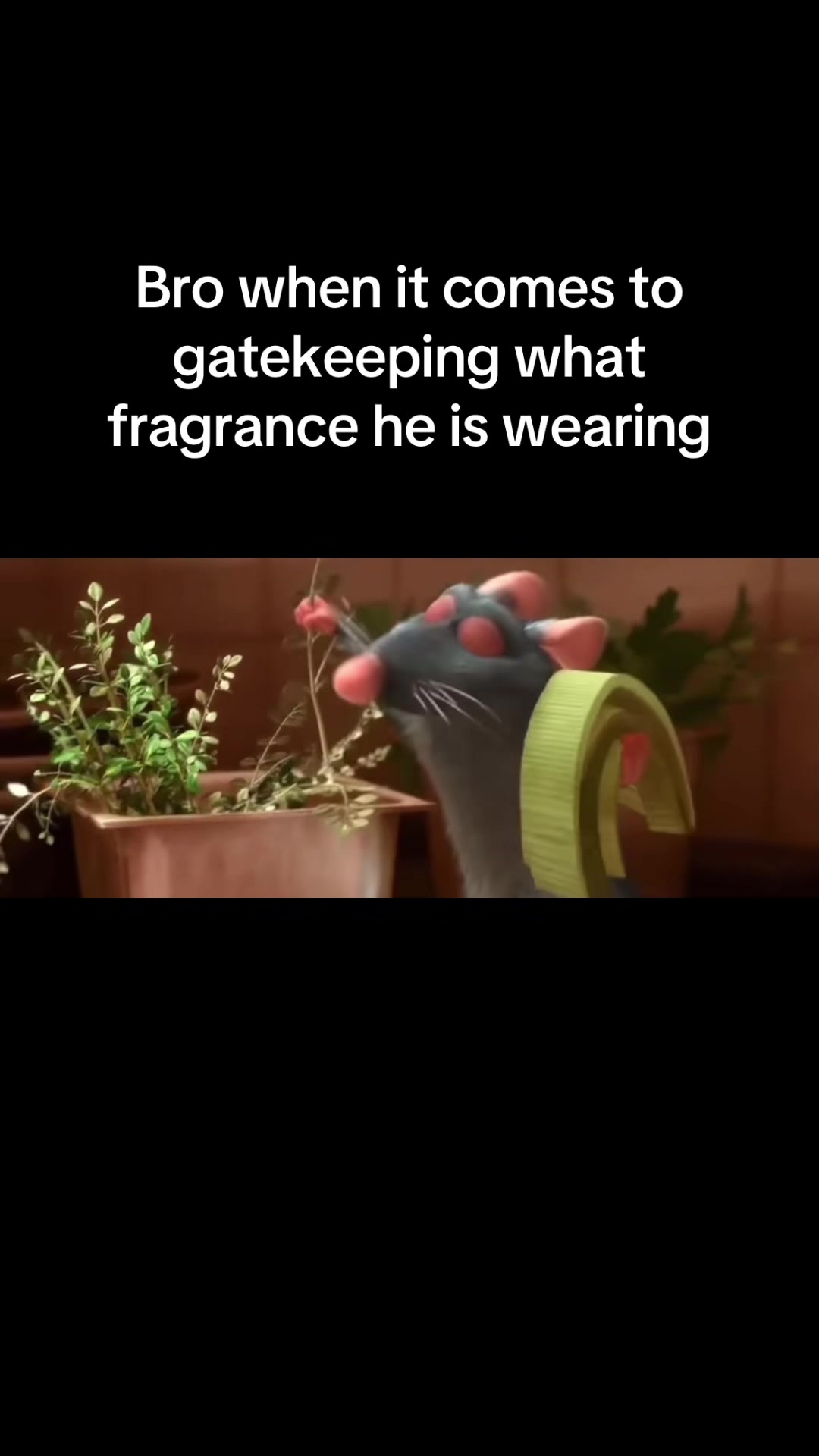 @essenztok