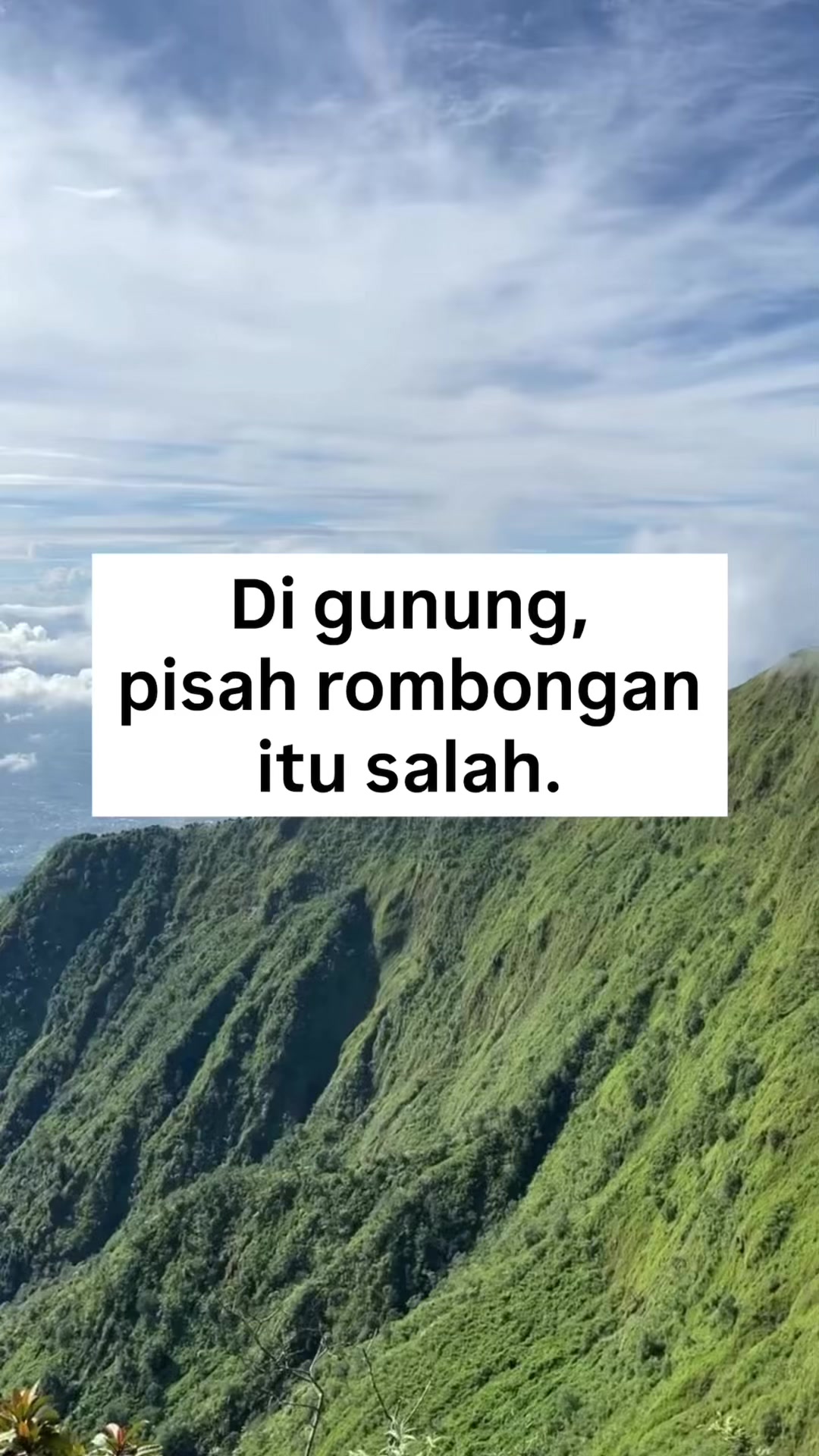@Zaink Nst