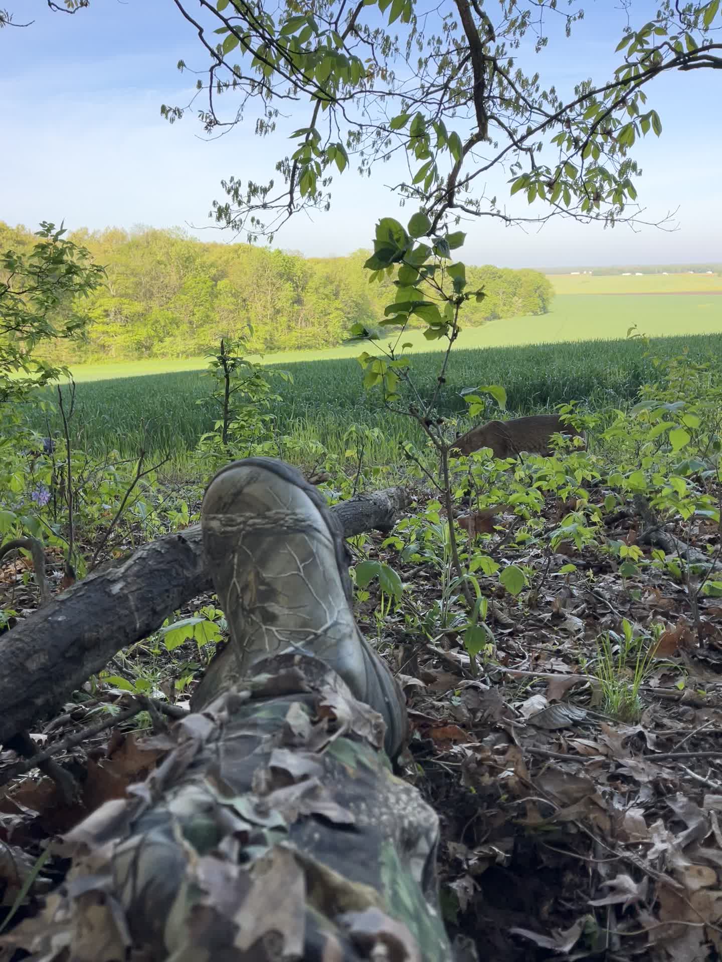 @217bowhunter