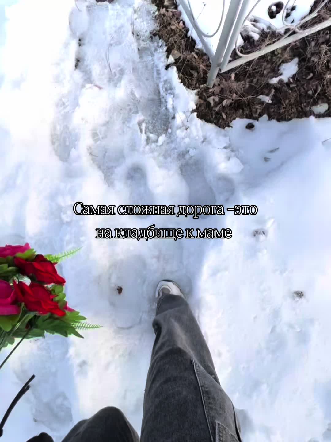 @Eva Volkova