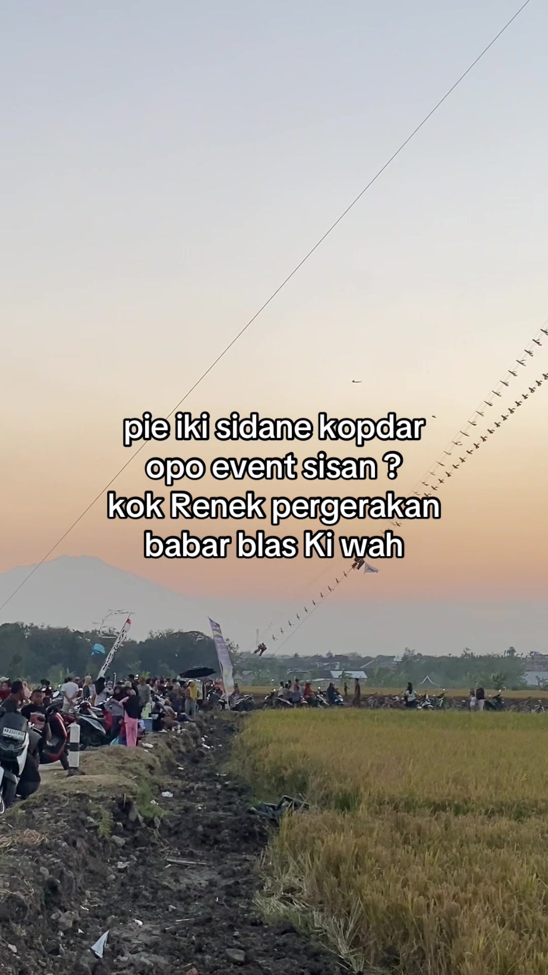 @Mas B