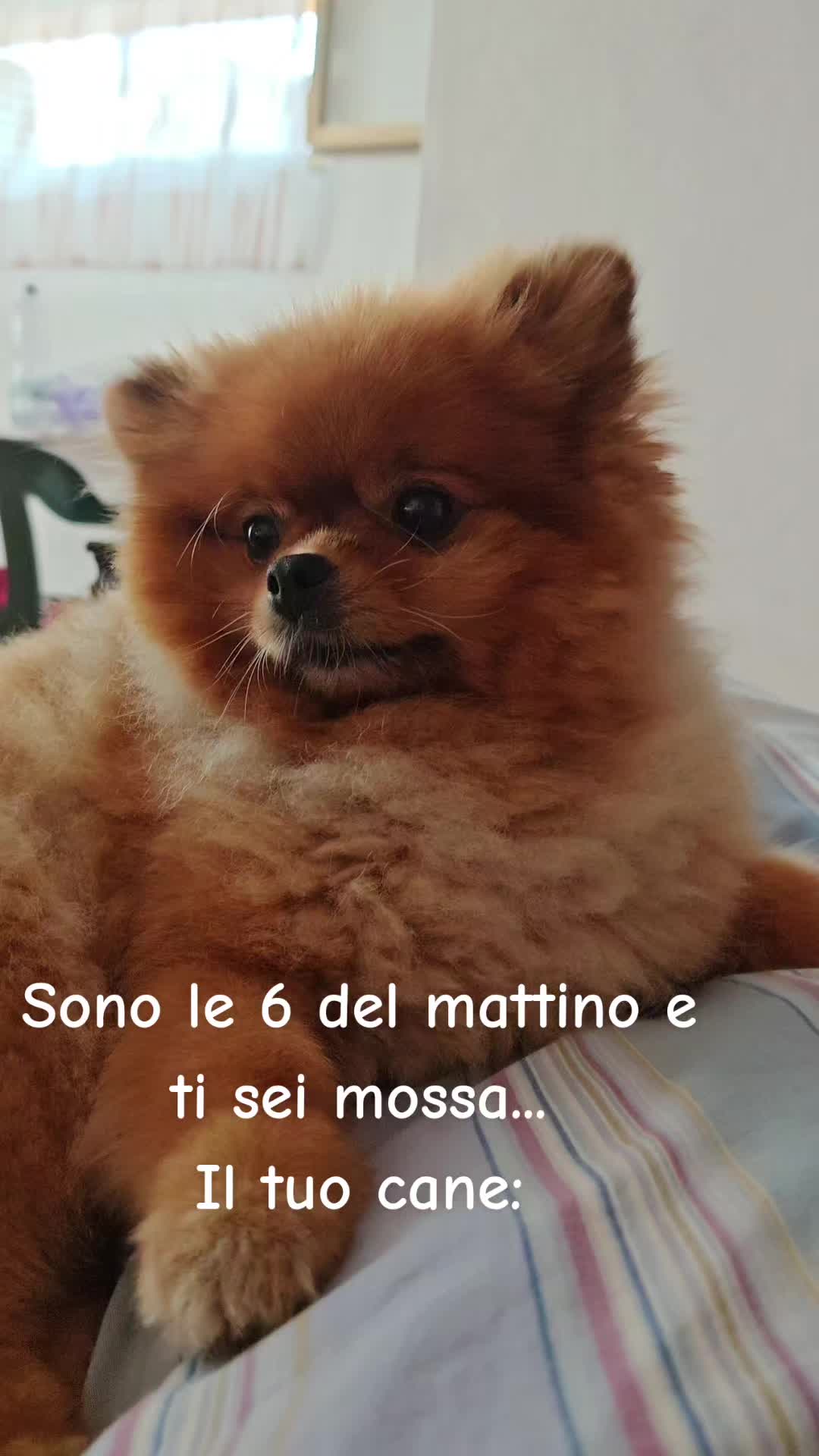 @Nicoletta 🥰