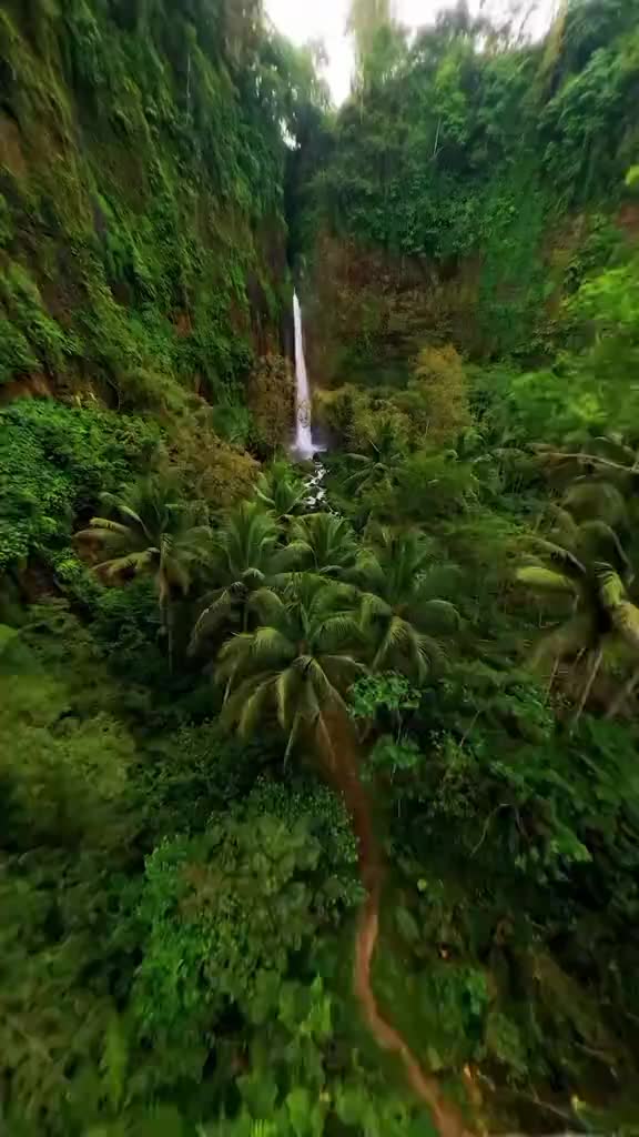 @Beauty of nature❤️