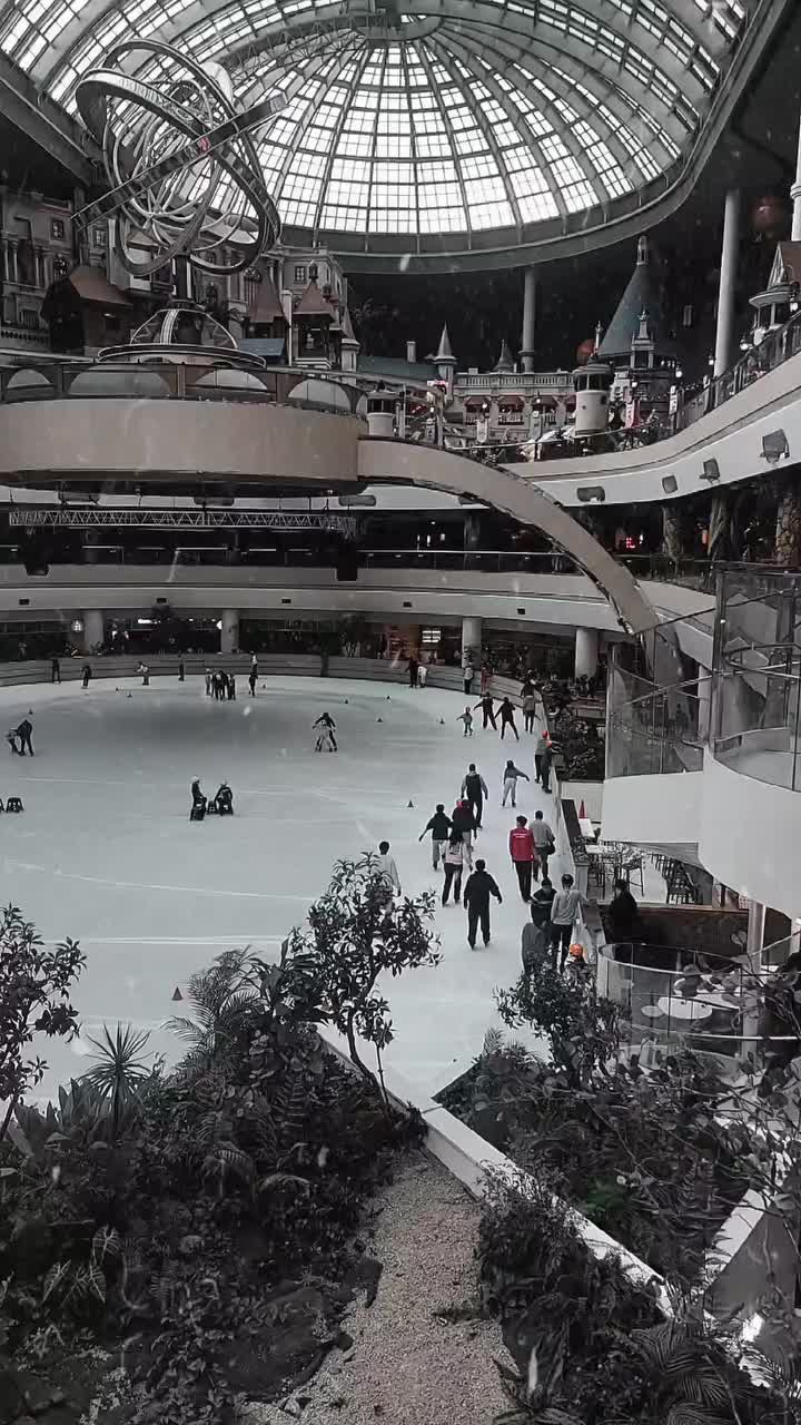 @알리🇰🇷🇺🇸