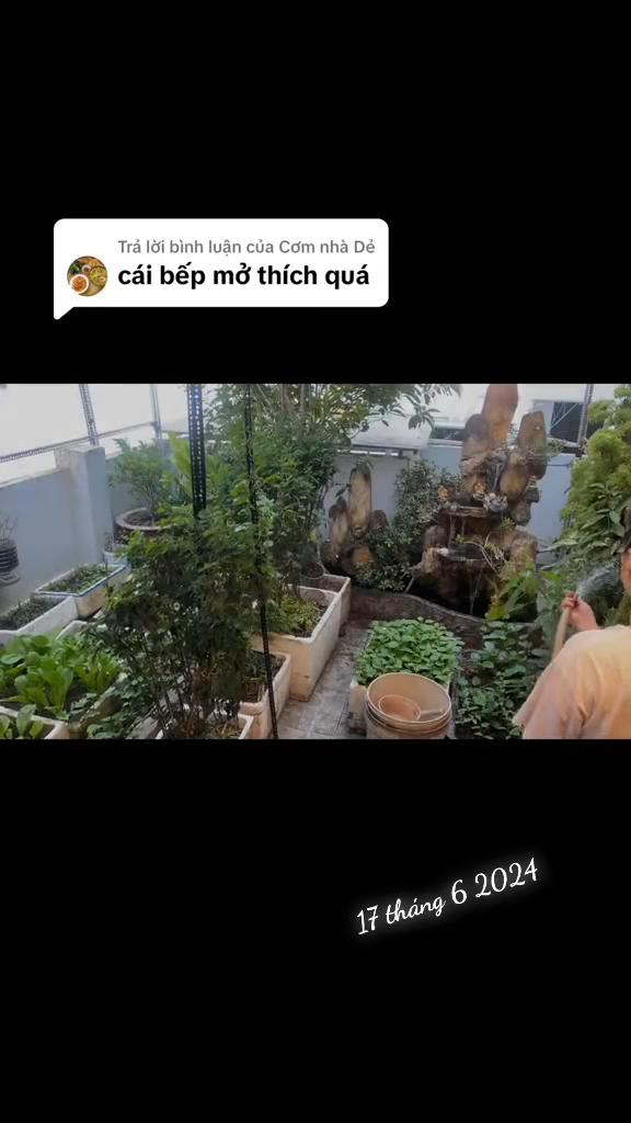 @Ch&acirc;n g&agrave; chi&ecirc;n gi&ograve;n - TULY