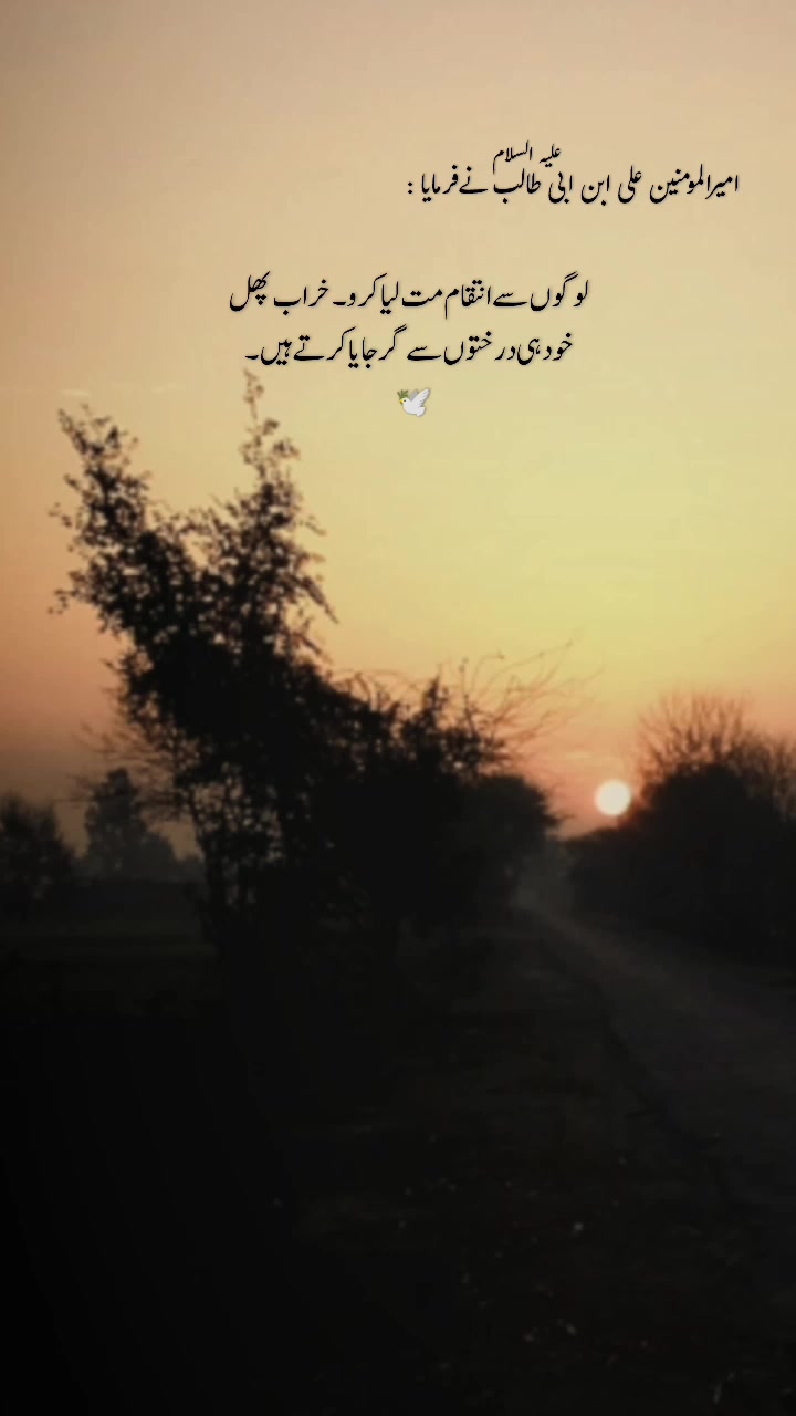 @ℤ𝕒𝕣𝕥𝕒𝕛⃝ 🤍